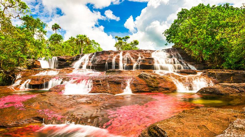 Caño Cristales: Un espectáculo de colores en movimiento​​