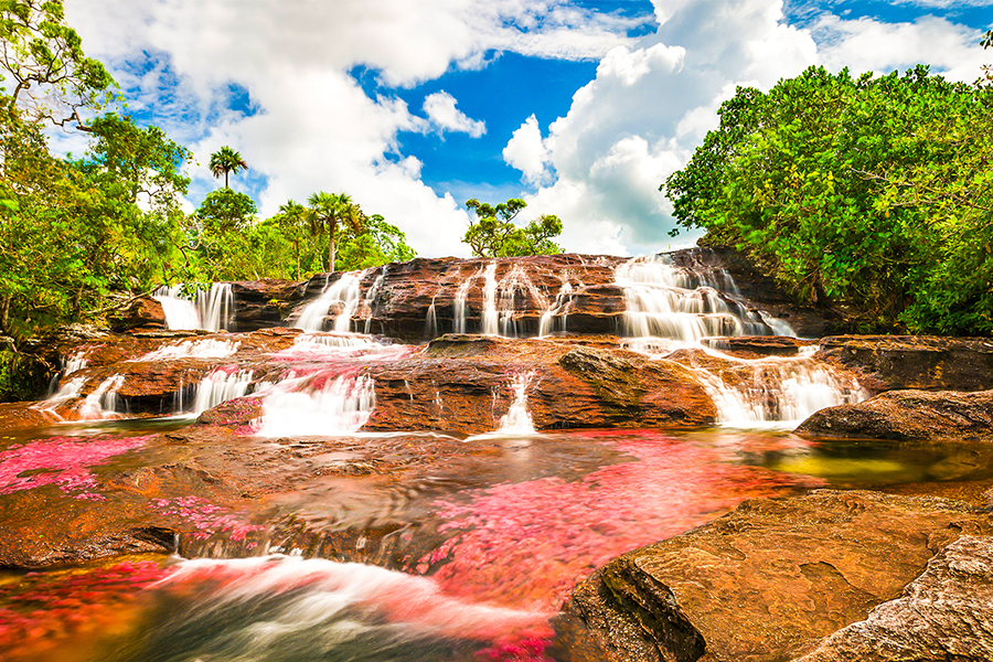 Caño Cristales