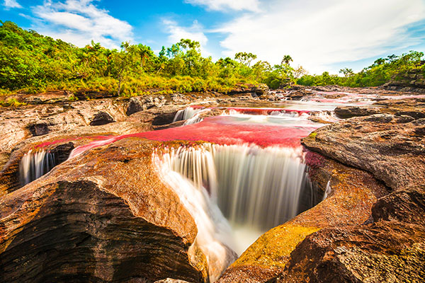 Caño Cristales
