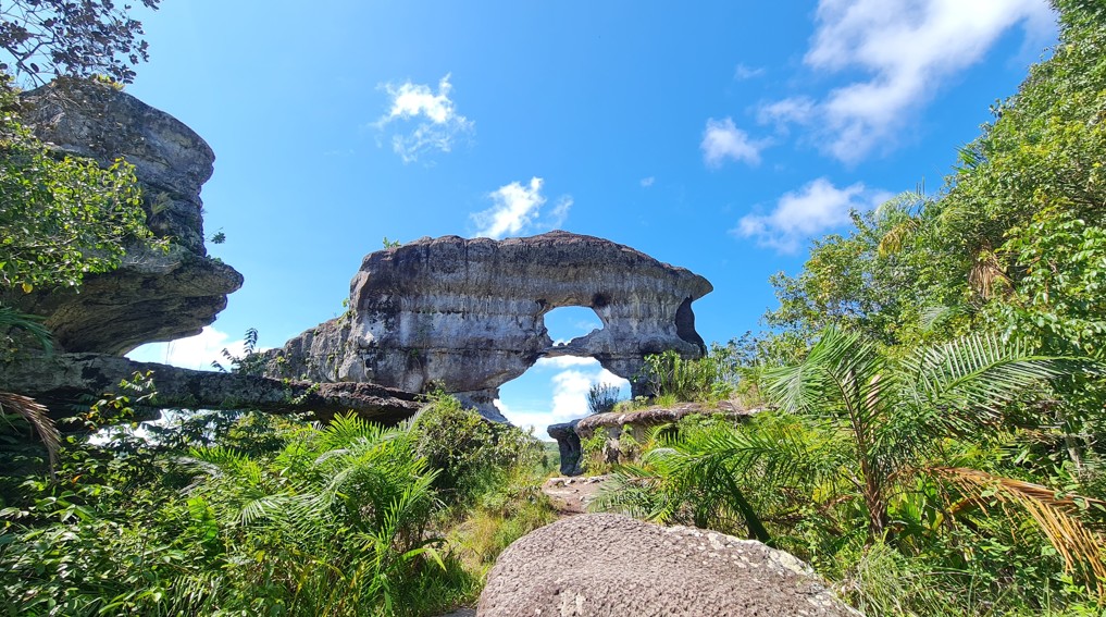 San José del Guaviare