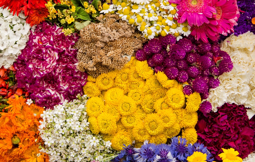 Feria de las flores